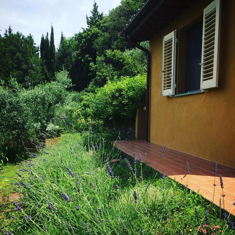 La Locanda Del Barbagianni Santa Luce Luaran gambar